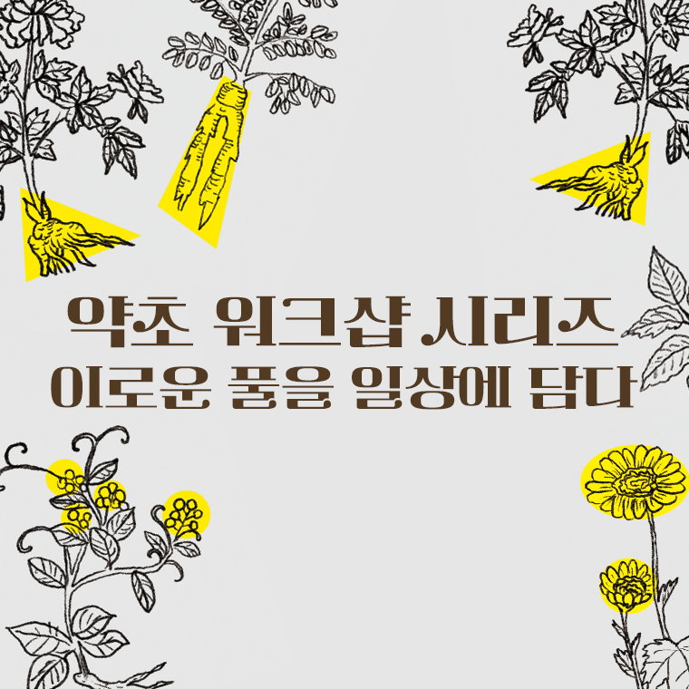 약초 워크샵 시리즈 : 이로운 풀을 일상에 담다