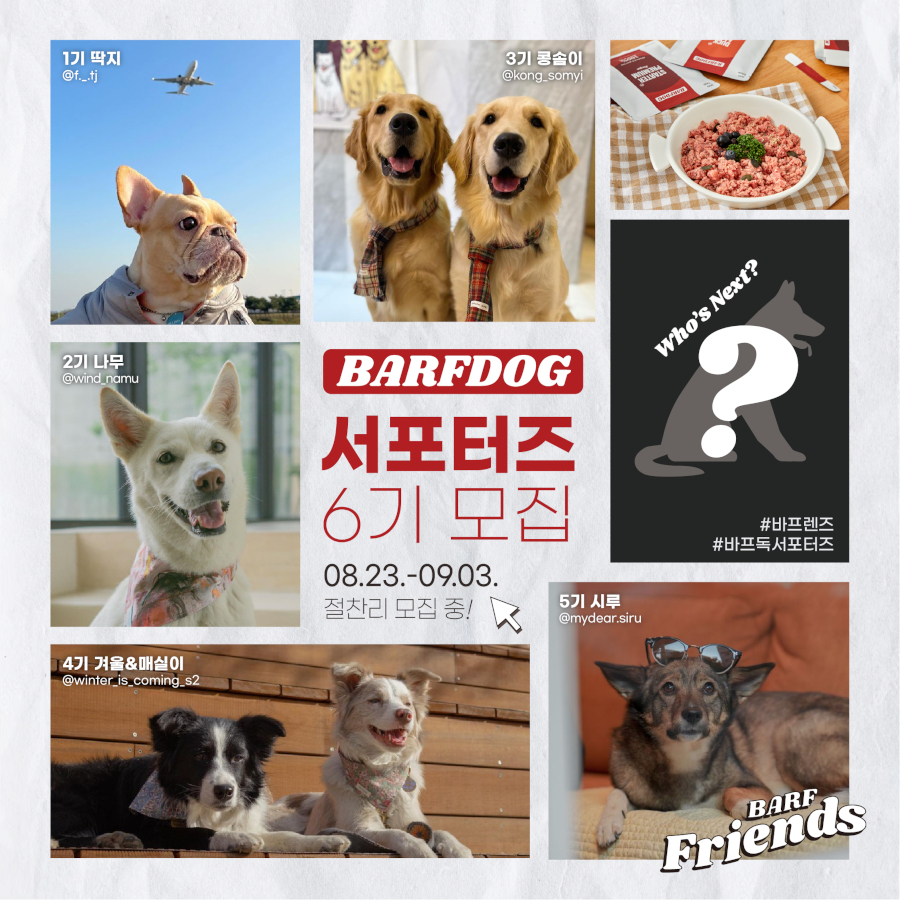 바프독 서포터즈 6기 모집