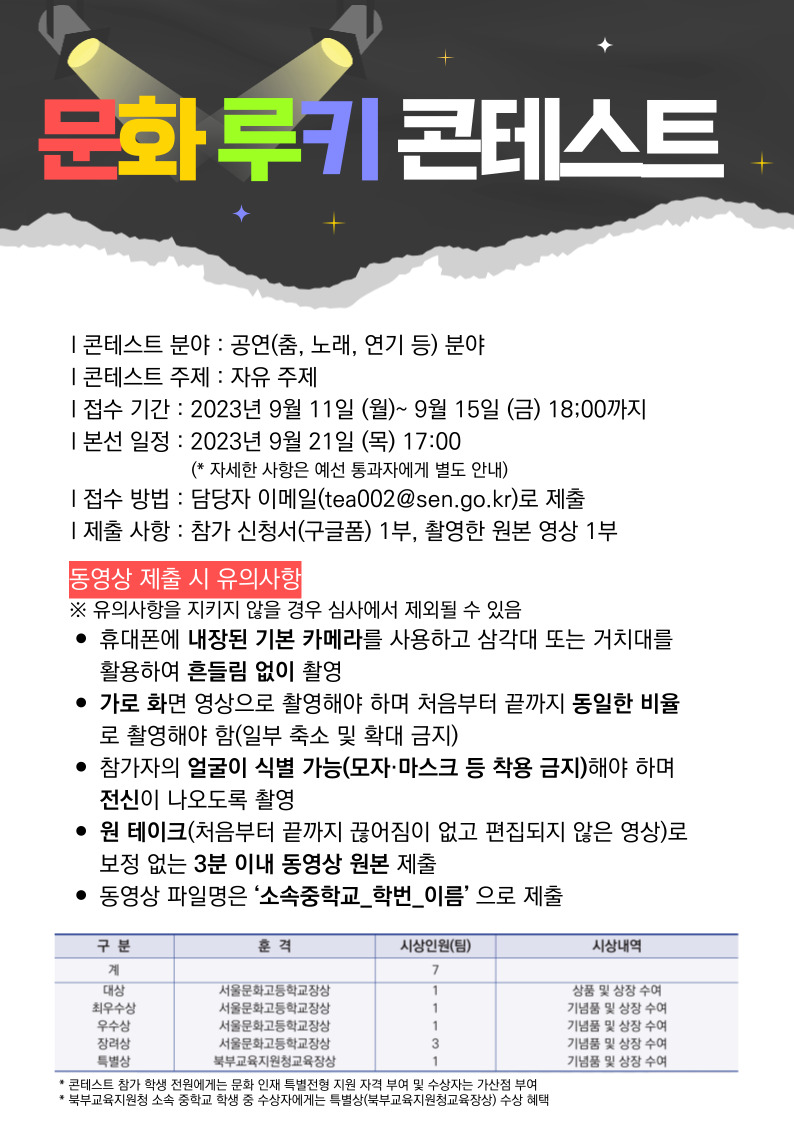 서울 문화 루키 콘테스트