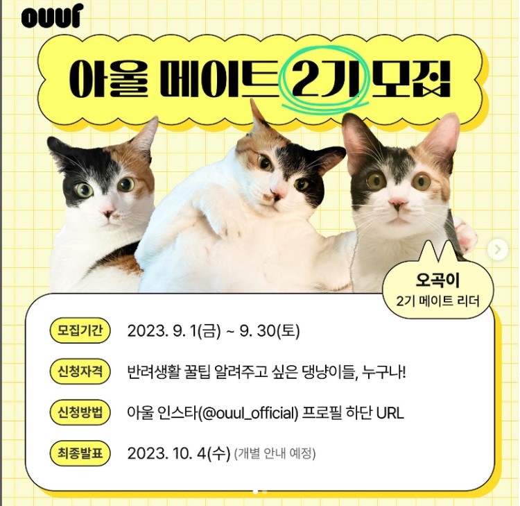 아울 메이트 2기 모집