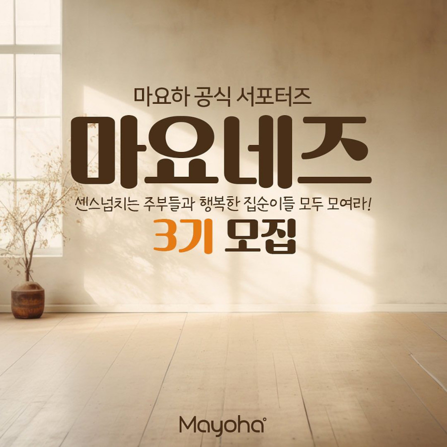 마요하 공식 서포터즈 마요네즈3기 모집
