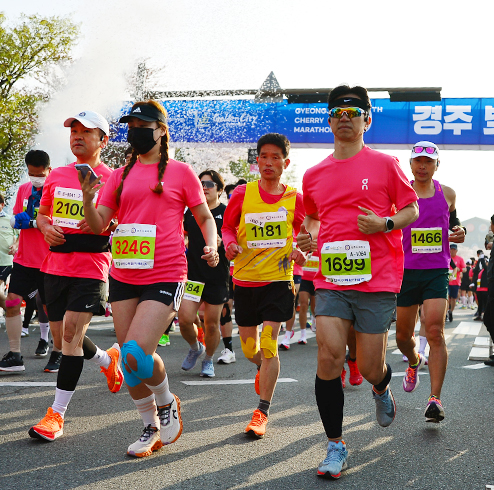 제31회 경주벚꽃마라톤대회
