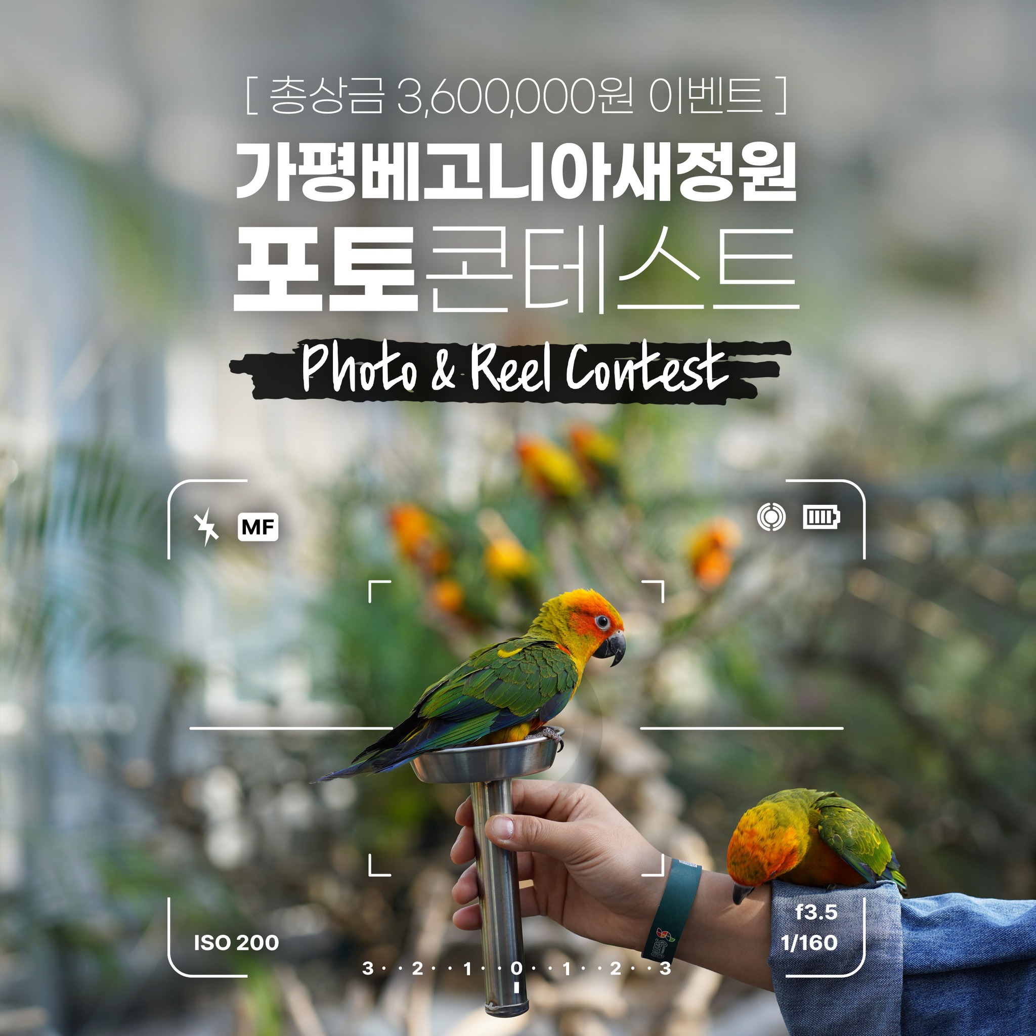 가평베고니아새정원 포토콘테스트