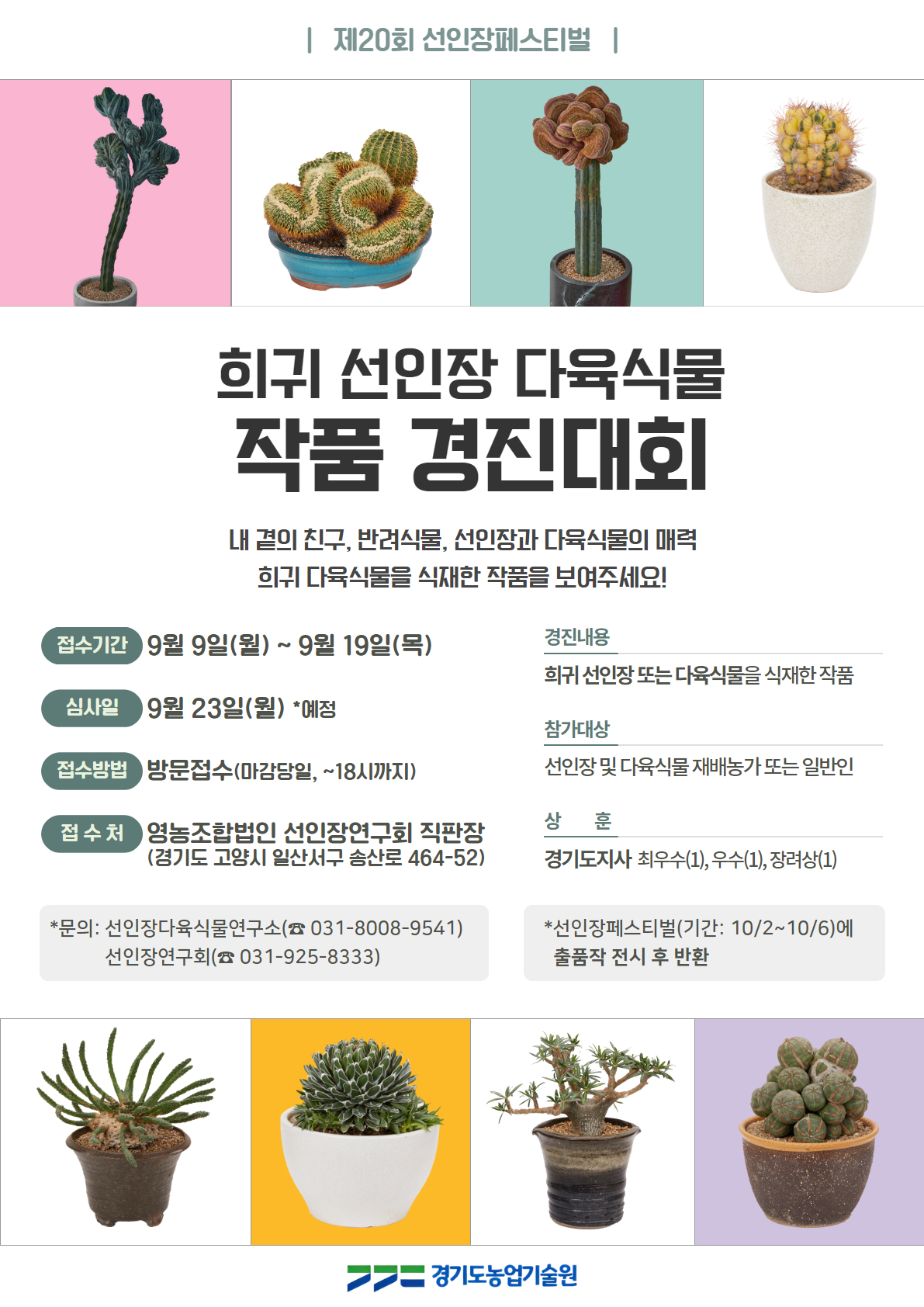 제20회  선인장페스티벌 희귀 선인장 다육식물 작품 경진대회