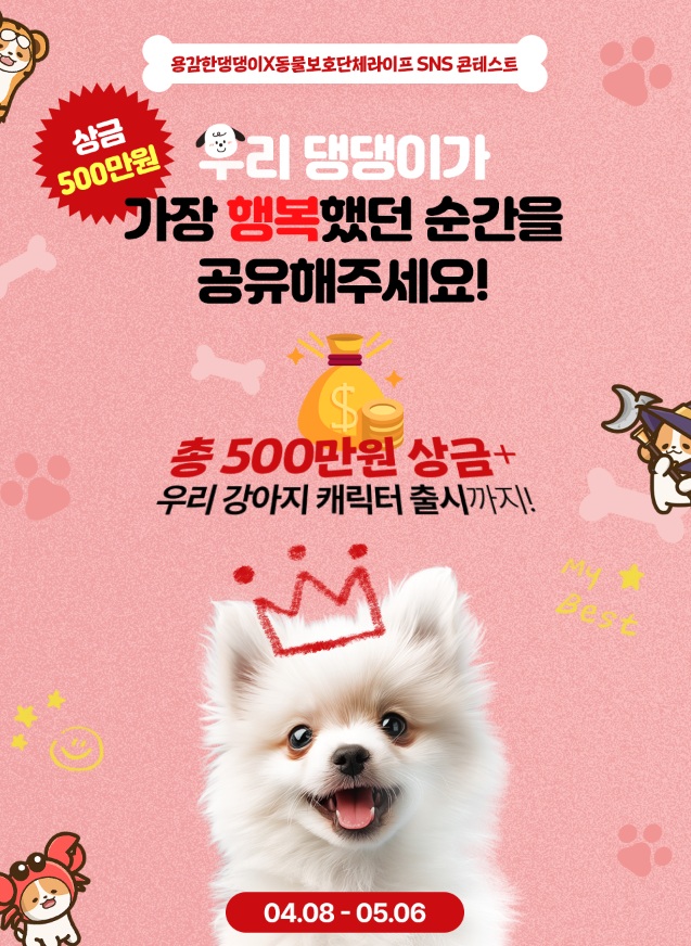 용감한댕댕이X동물보호단체라이프 SNS 콘테스트