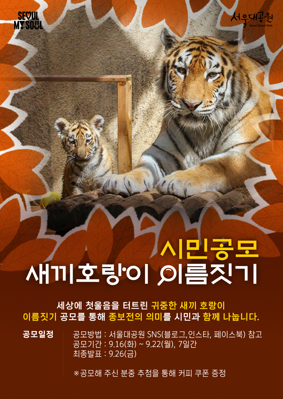 서울대공원 아기 호랑이 탄생 100일 기념 네이밍 공모전