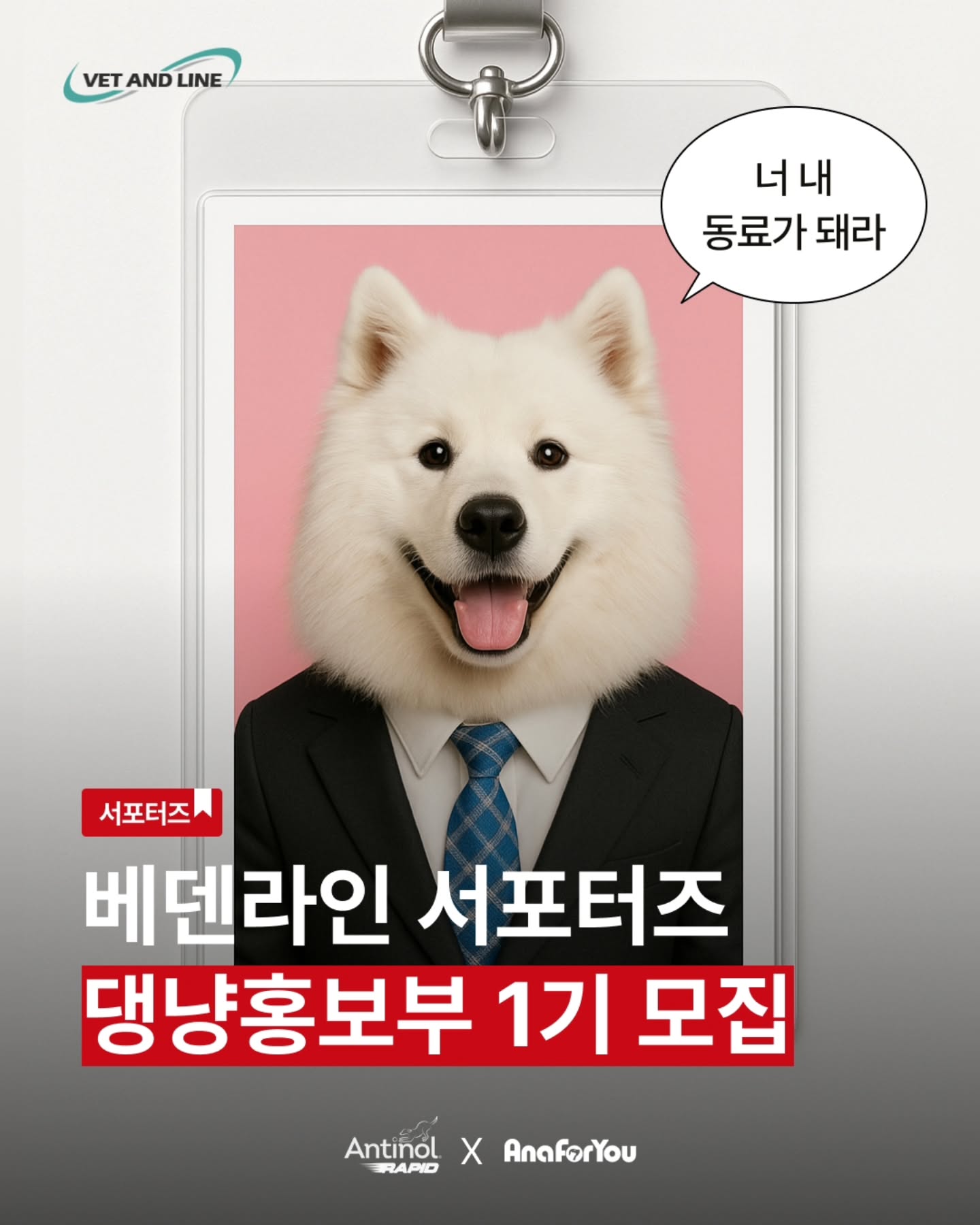베덴라인 서포터즈 1기 댕냥홍보부 모집
