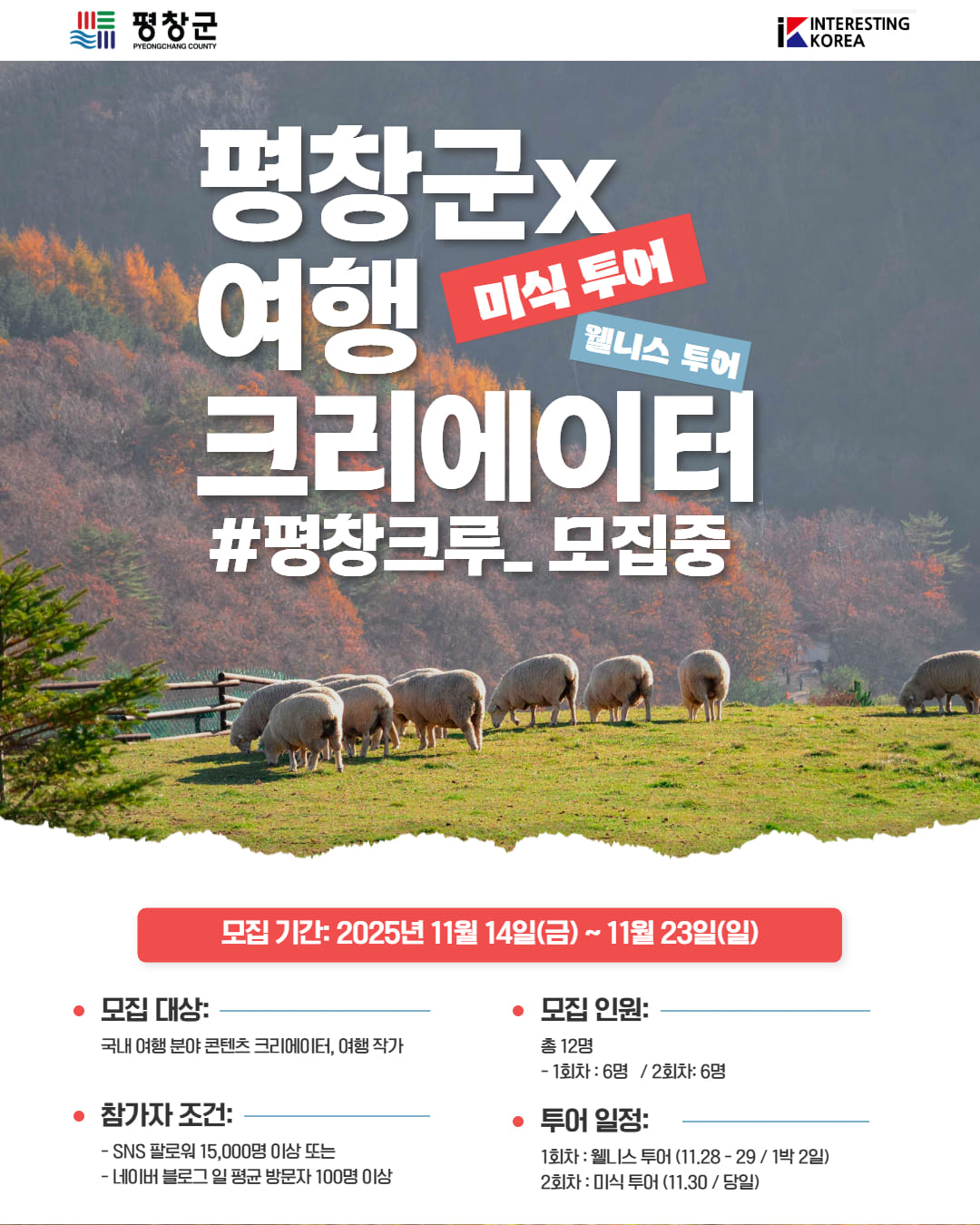 평창 크루 팸투어 멤버 모집