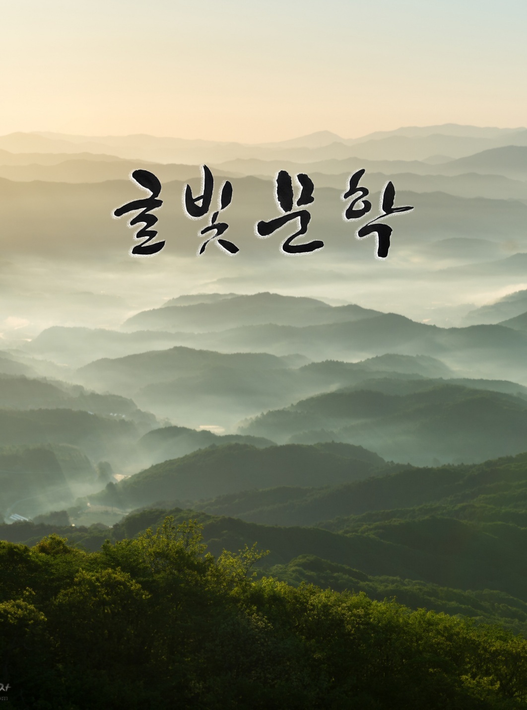 글빛문학[(구)글동네2002] 신인문학상공모