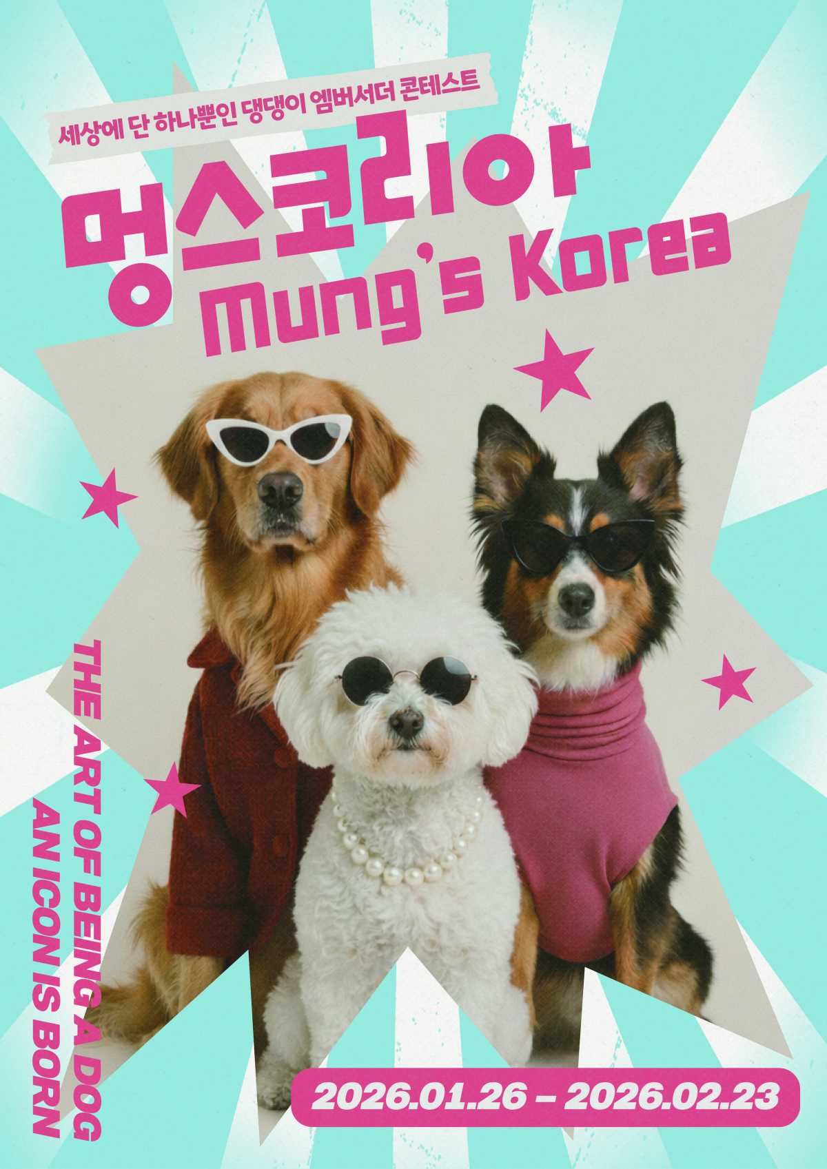 우리 강아지가 브랜드의 얼굴이 됩니다! [멍스코리아]